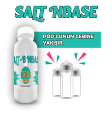 salt-nbase-2